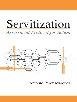 cover image of Servitization